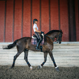 Dressage Pad, Field Plaid & Hickory - Factory 2nd's
