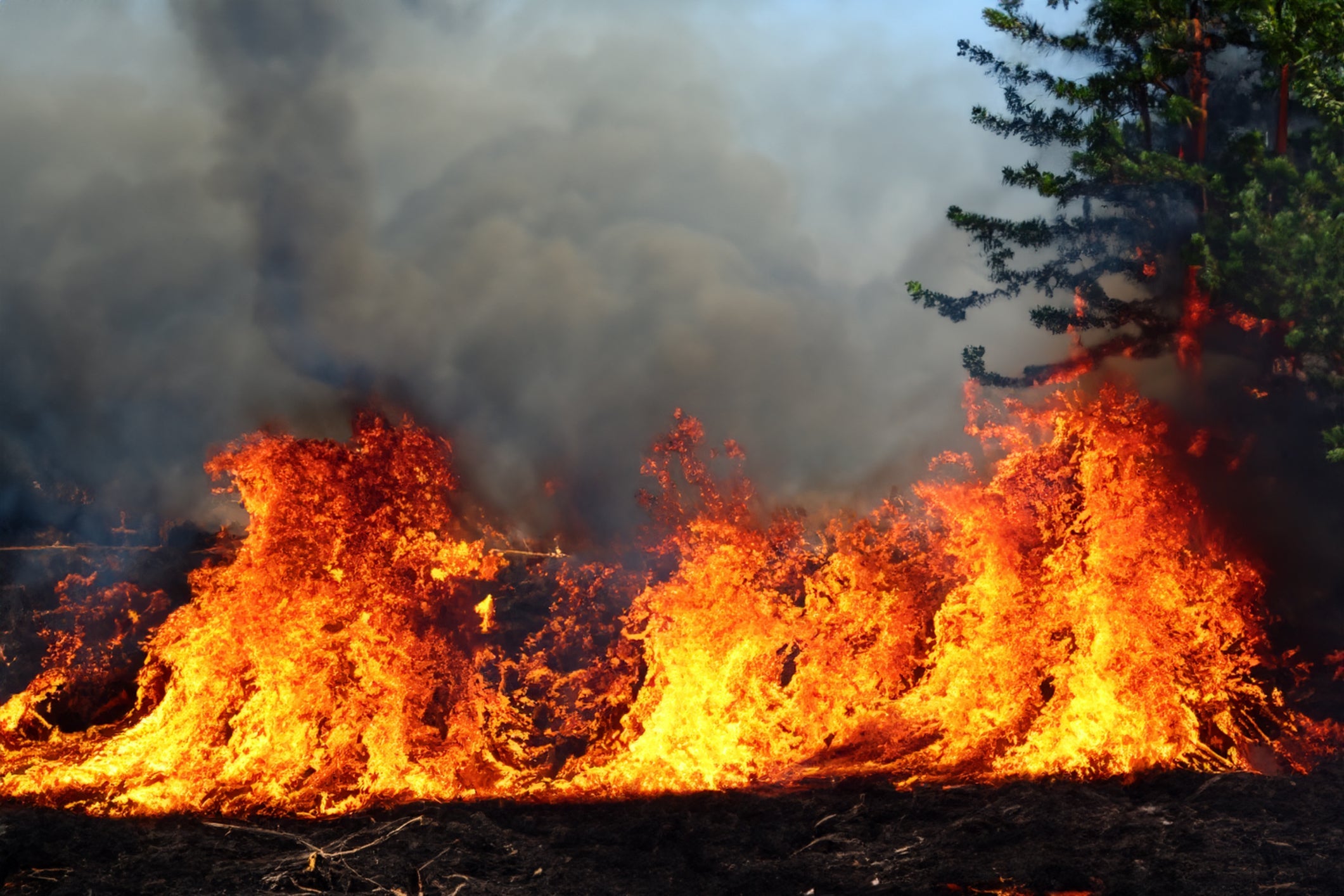 SoCal Fires: Support Relief Efforts & Donate