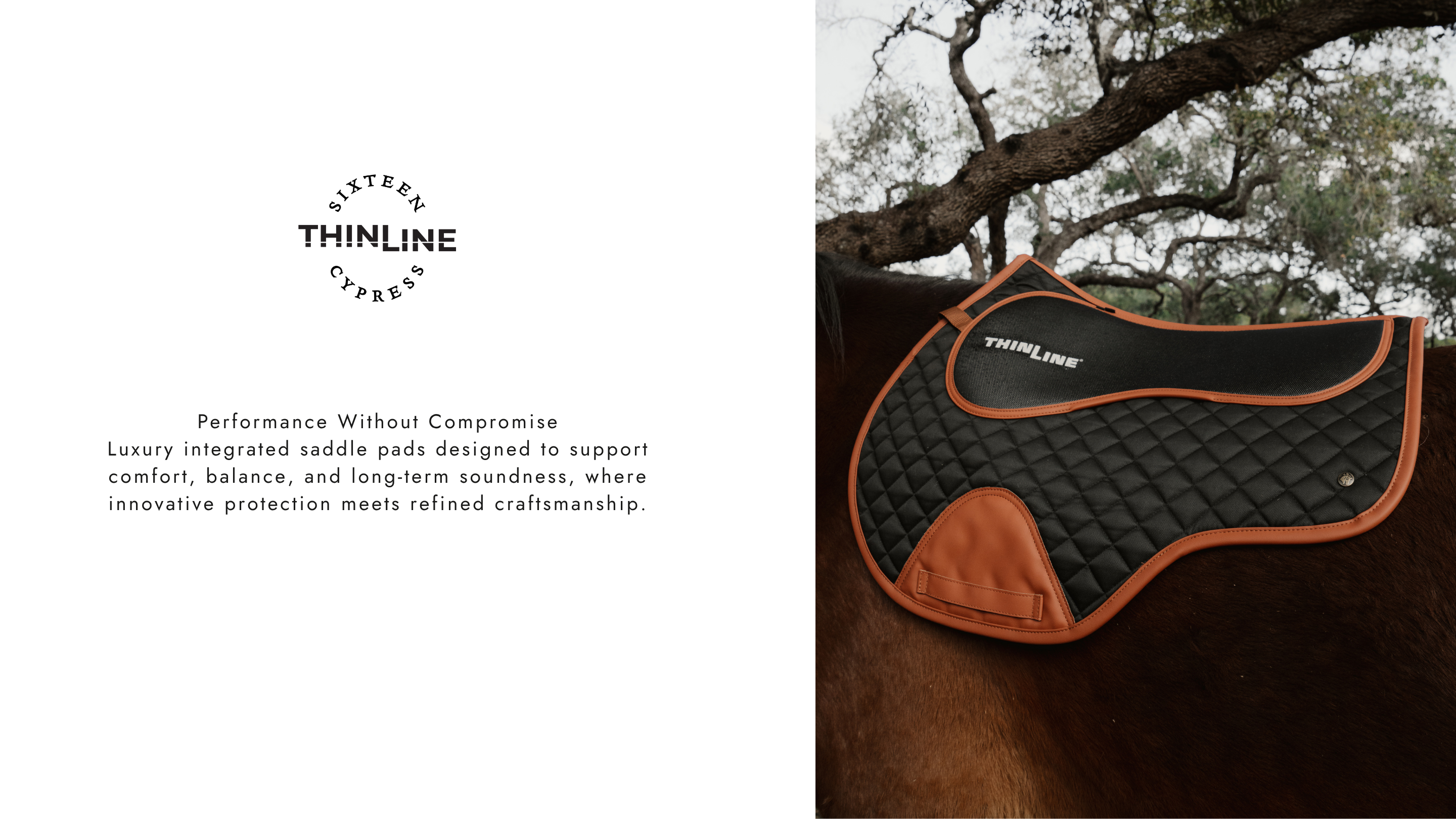 discover the ThinLine X 16C fusion integrated pad collection