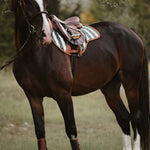 Sixteen Cypress Close Contact Saddle Pad on a bay horse