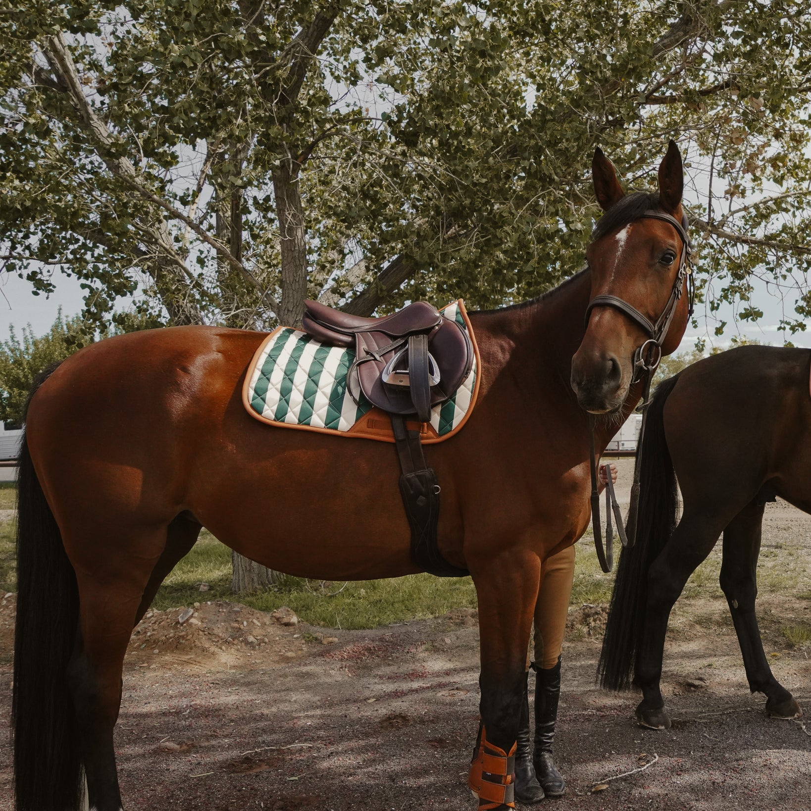 Jumper Pad, Carmel Stripe