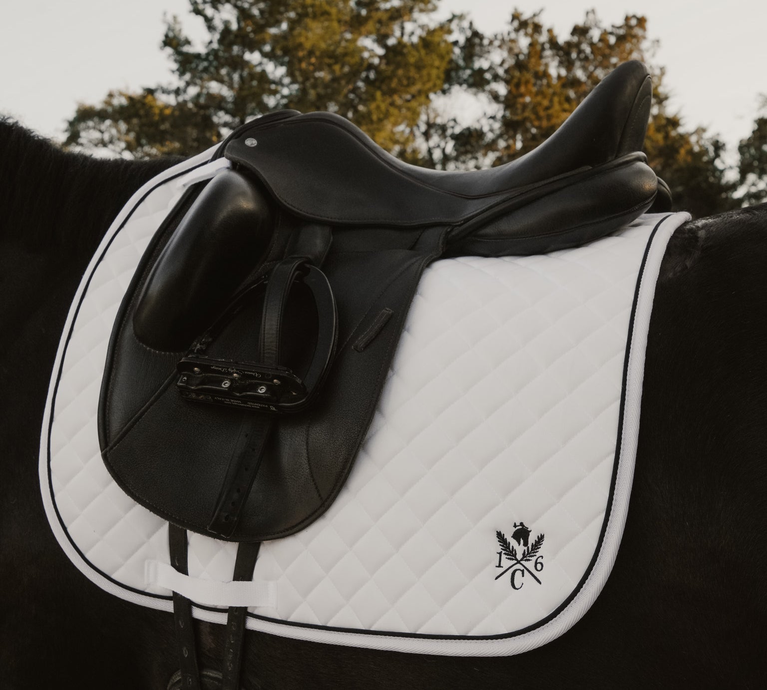 Daily Sport Dressage Saddle Pad - Black