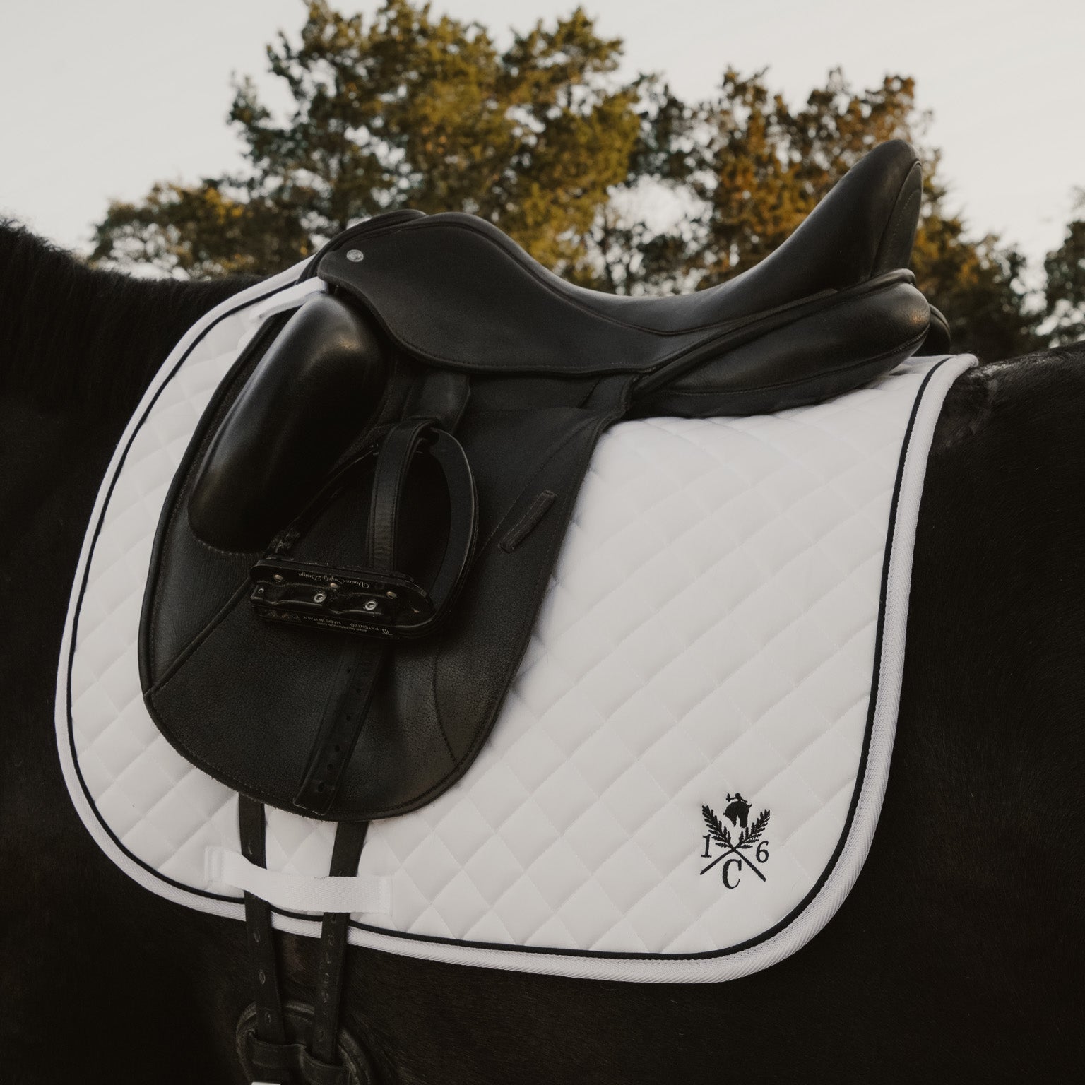Daily Sport Dressage Saddle Pad - Black