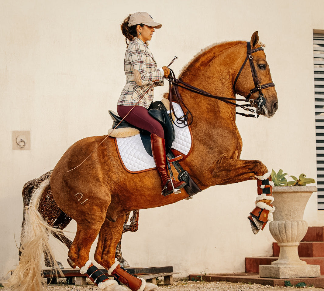 A woman, Mariana Botero, on a palomino Lusitano horse in sixteen cypress. 
