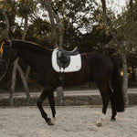 Horse with a saddle in an outdoor setting with trees