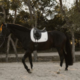 Horse with a saddle in an outdoor setting with trees