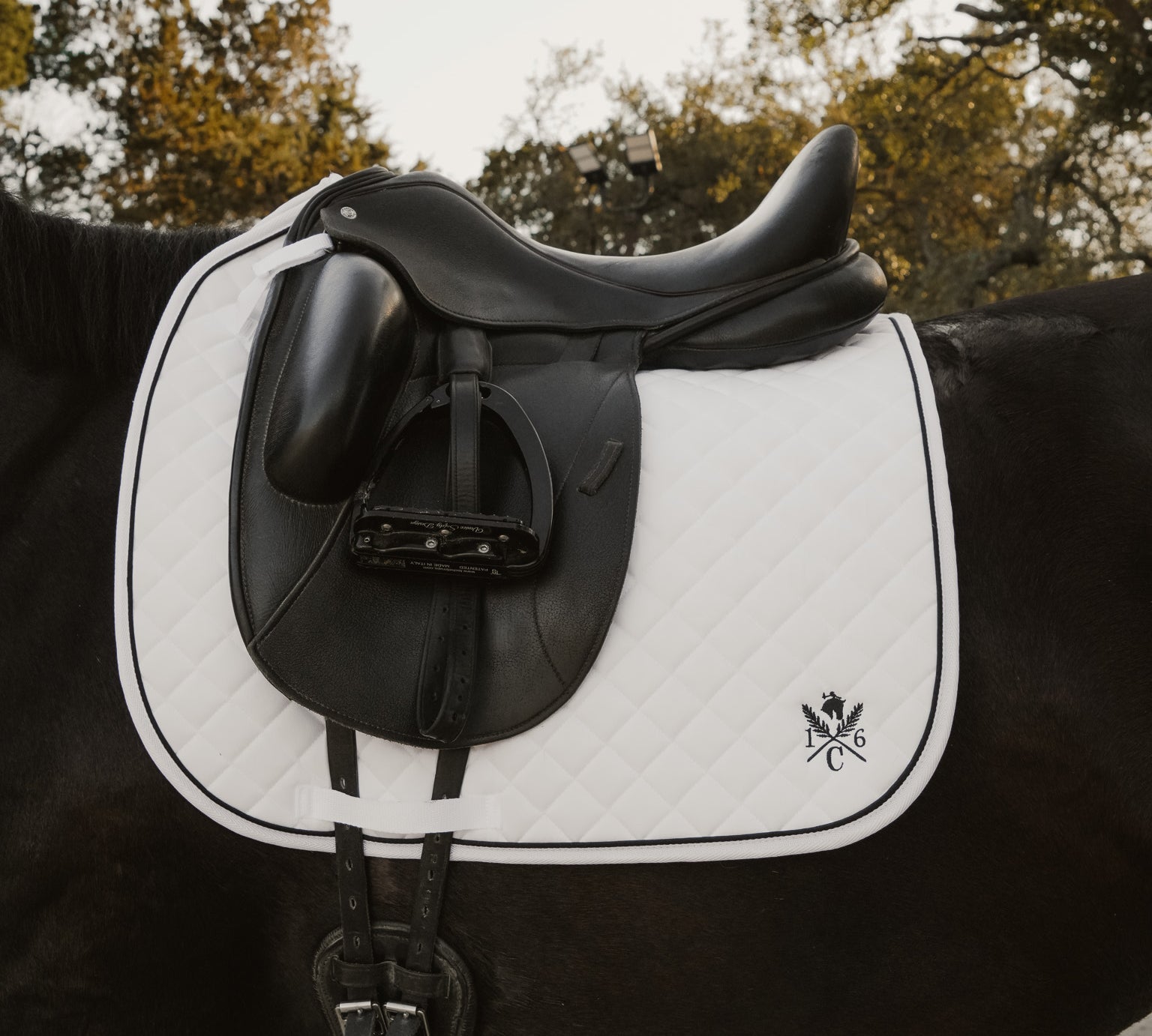 Black and white saddle on a horse with trees in the background. Sixteen Cypress