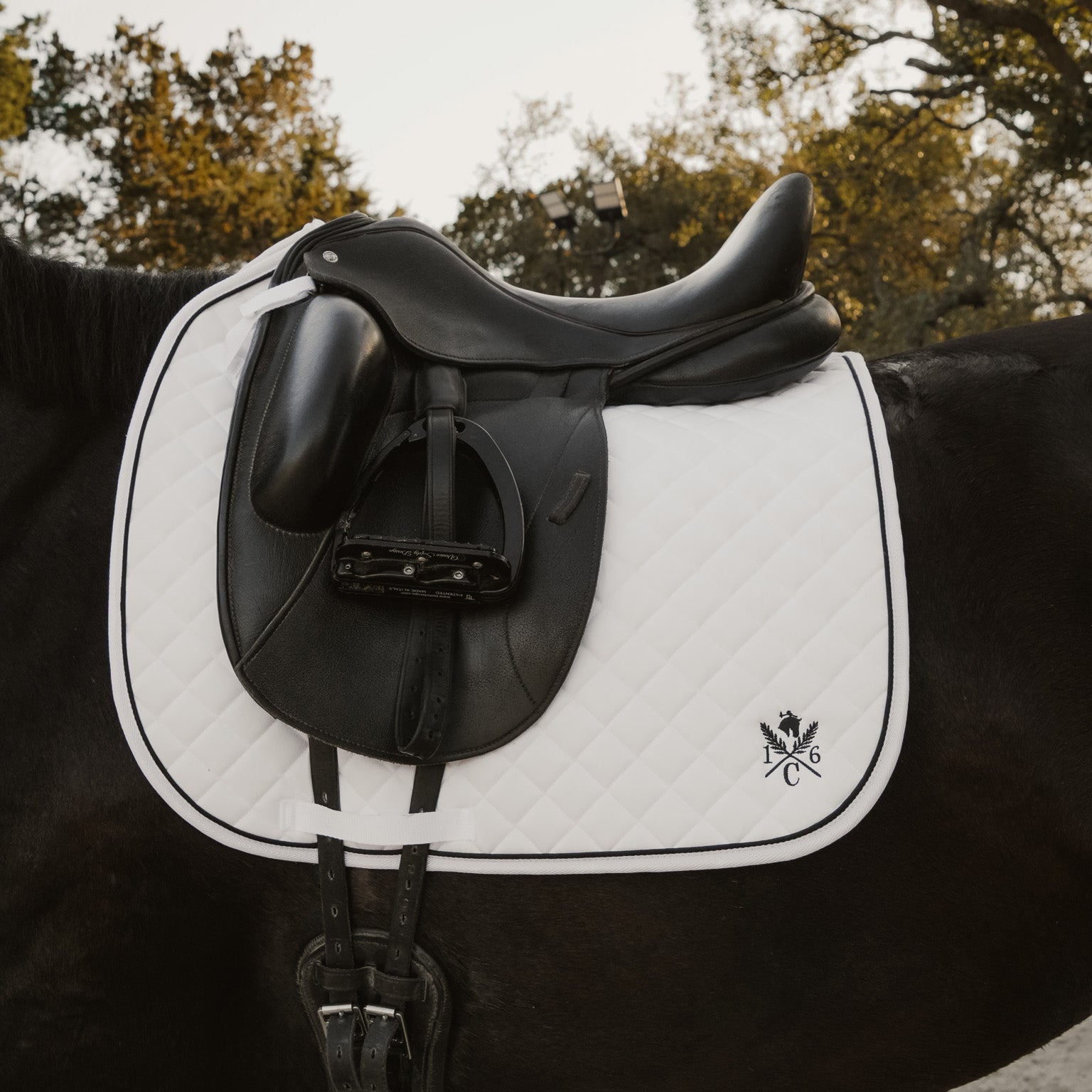 Black and white saddle on a horse with trees in the background. Sixteen Cypress