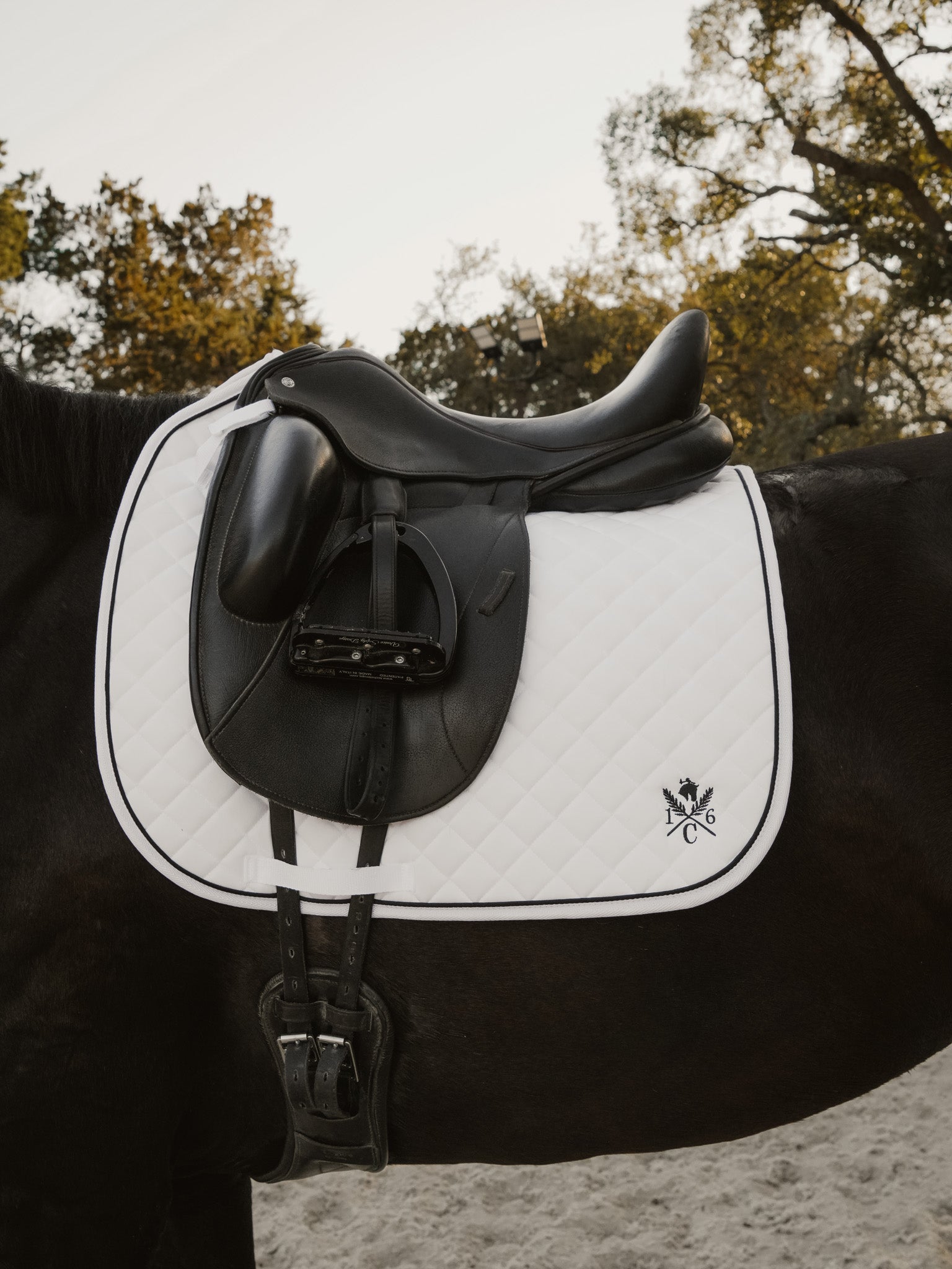 Black and white saddle on a horse with trees in the background. Sixteen Cypress