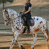 ThinLine X 16C Dressage Pad, Field Plaid