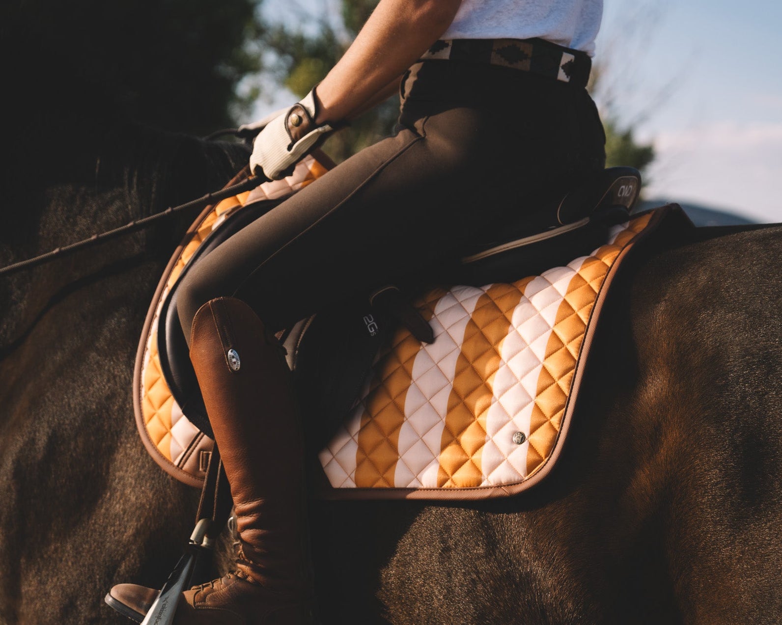 Striped equestrian jumper pad Sixteen Cypress 