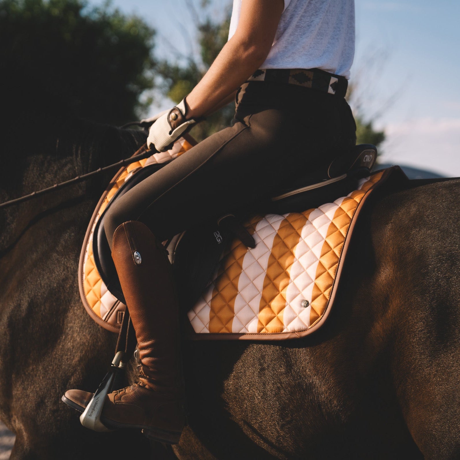 Striped equestrian jumper pad Sixteen Cypress 