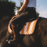 Striped equestrian jumper pad Sixteen Cypress 