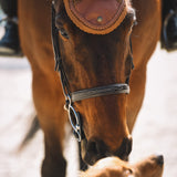 Fly Veil, Camel & Cognac