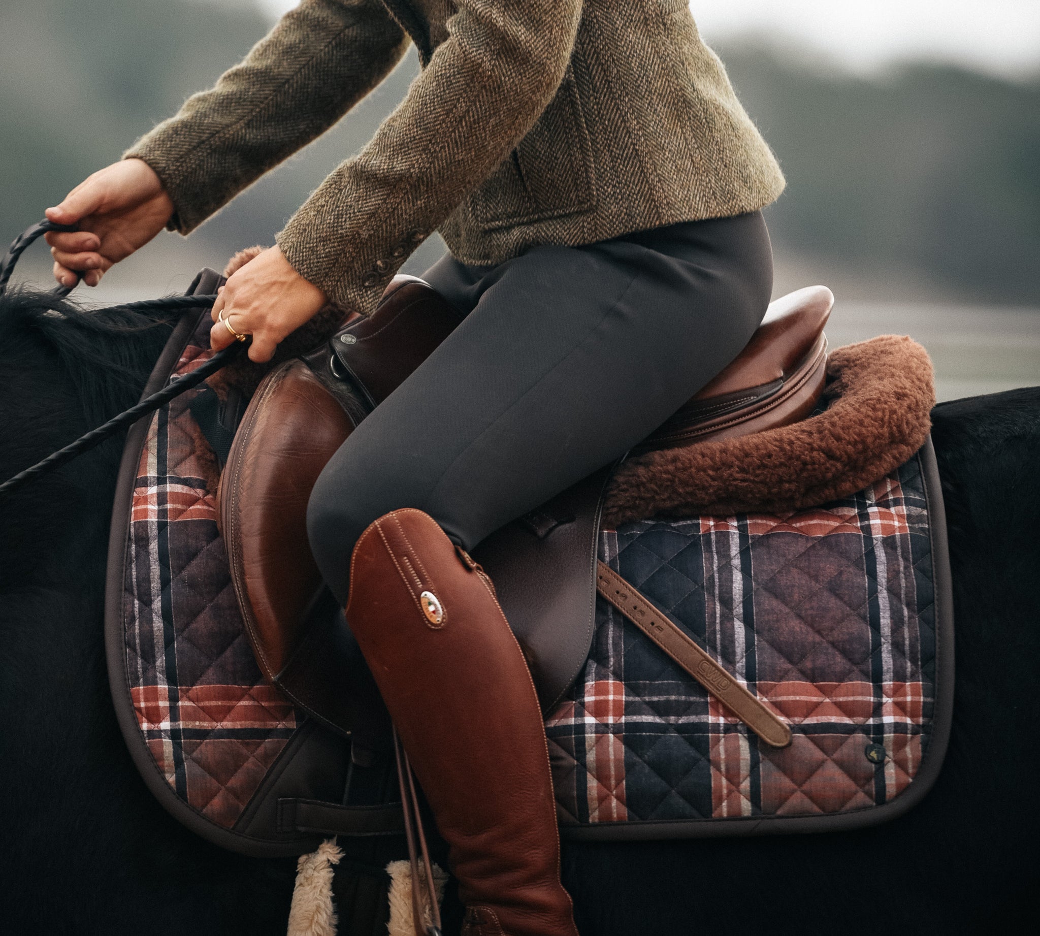 sixteen cypress saddle pad in brown field plaid 