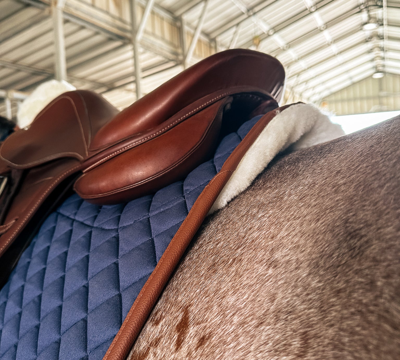 Sixteen Cypress Merino Wool Saddle Pad Sensitive Skin Jumper