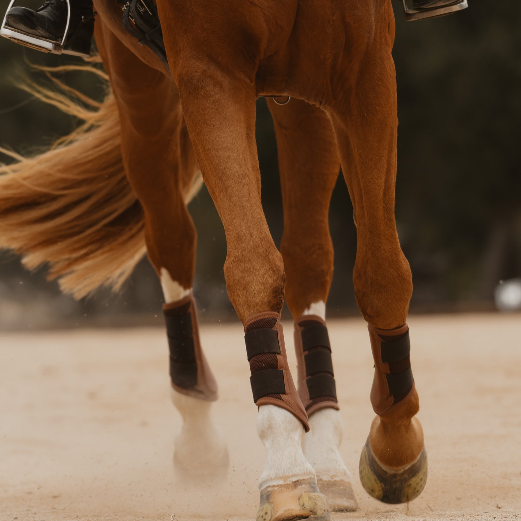 Mesh Tendon Sport Boot, Cognac