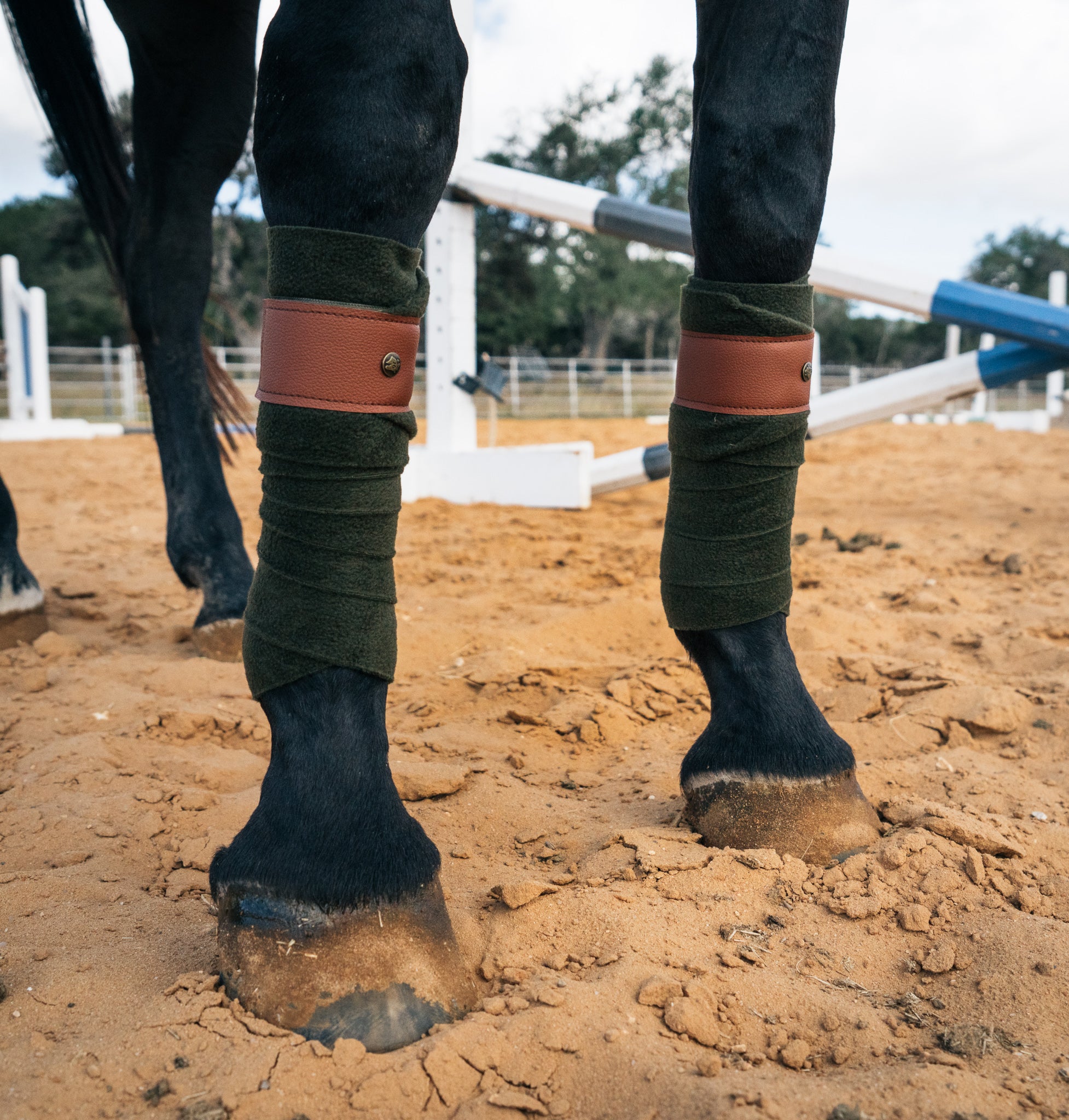 POLOS – Sixteen Cypress