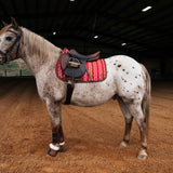 Pony Jumper Pad, Derby Stripe