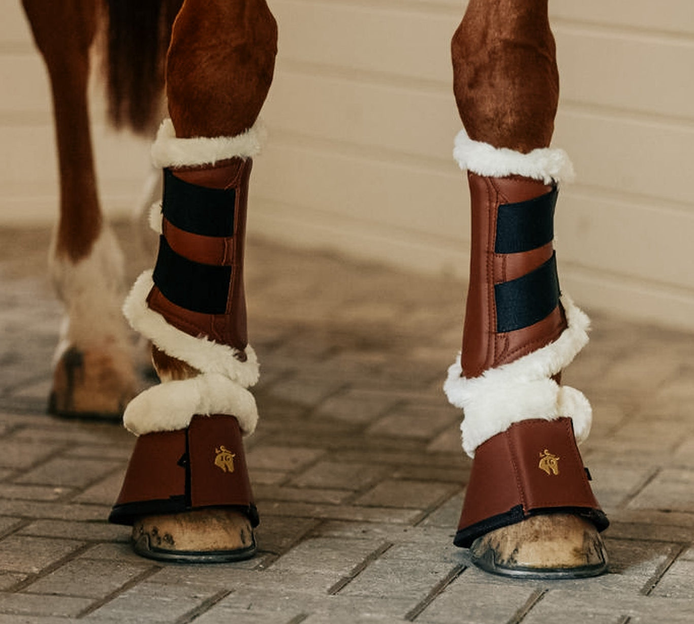 Horse wearing fleece tendon boots & bell boots in cognac by Sixteen Cypress.